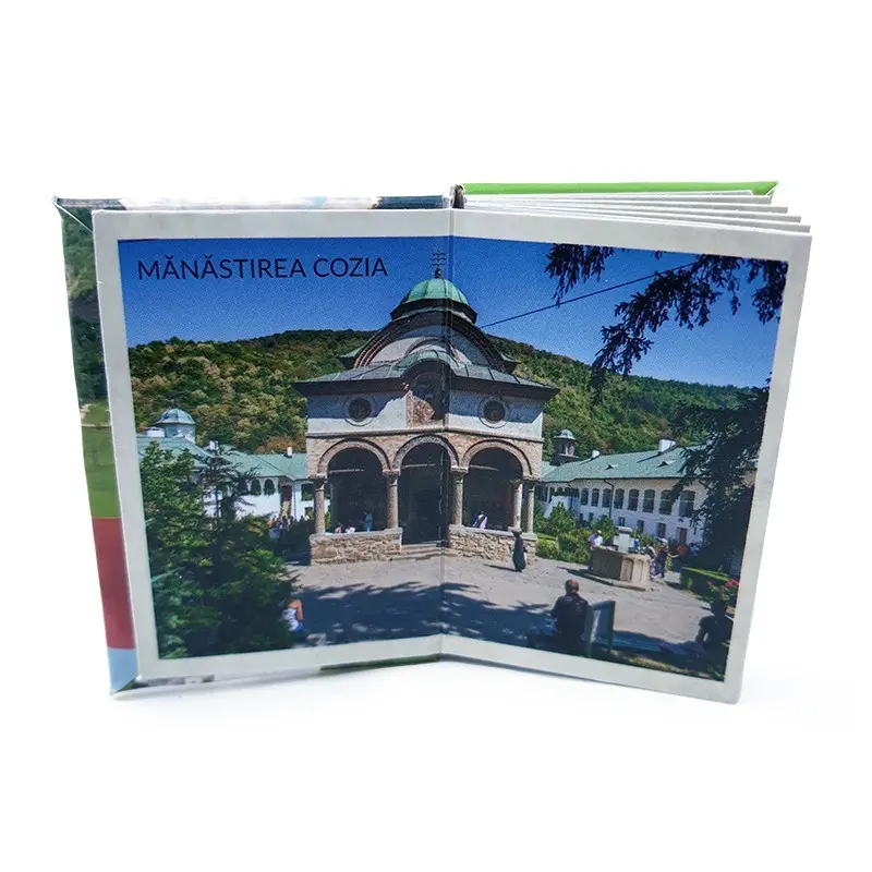 Valea oltului, magnet carte, model 2048g